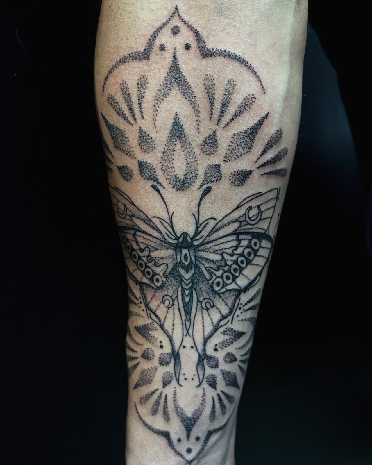 Tatouage papillon ornemental en dotwork sur l’avant-bras