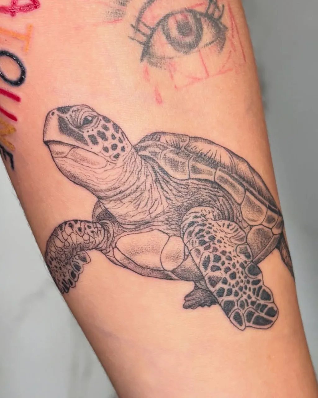Tatouage tortue de mer réaliste en black and grey sur l’avant-bras, réalisé par David à Saint-Louis, La Réunion