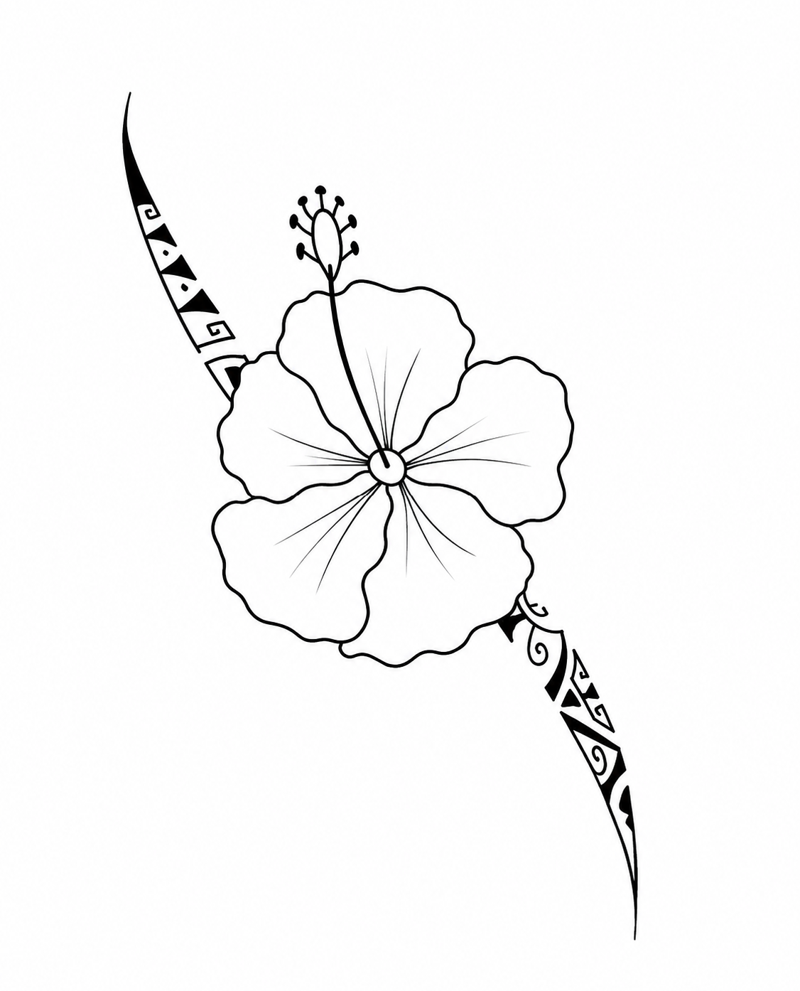 Liseret hibiscus