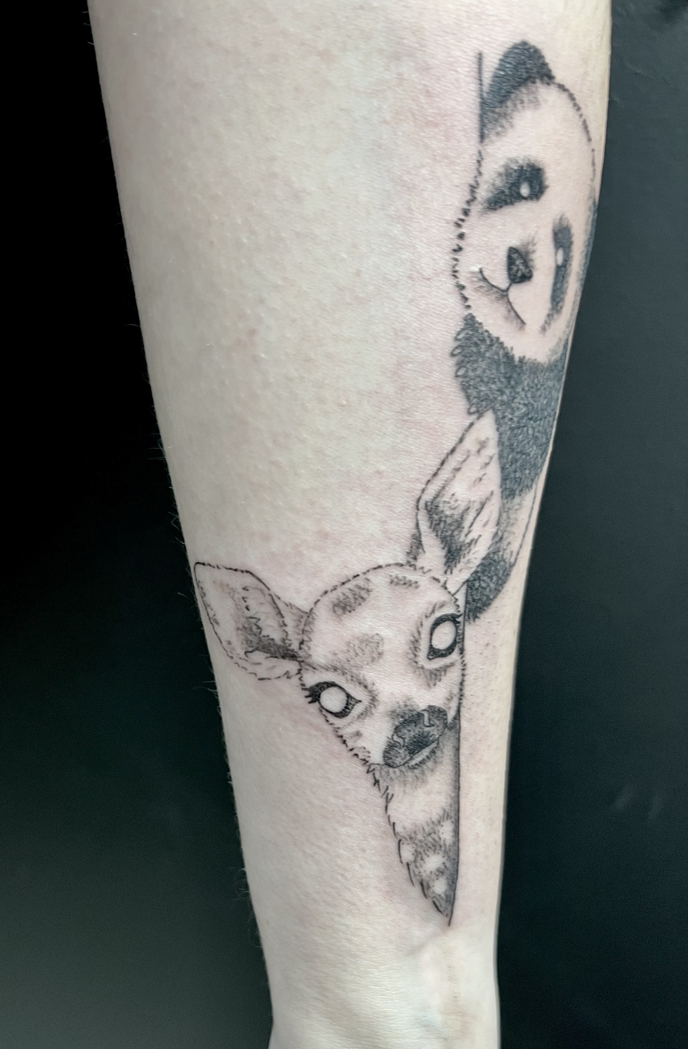 Tatouage Mahavéli